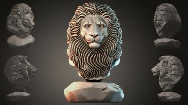 Fantasy busts Lion bust 3d model