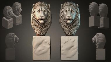 Fantasy busts Lions head bas-relief 3d model