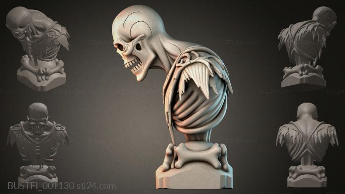 Skull and skeleton bust 3d STL model