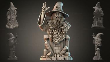 Fantasy busts Bust of a Wizard 3d model