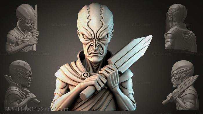 Alien Warrior Bust 3d STL model