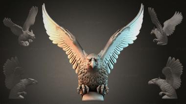 Fantasy busts Eagle with spread wings 3d model