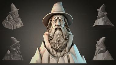 Fantasy busts Bust of a Wizard 3d model
