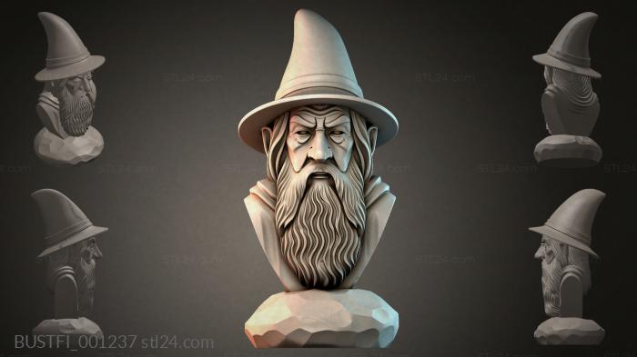 Bust of a Wizard 3d STL model