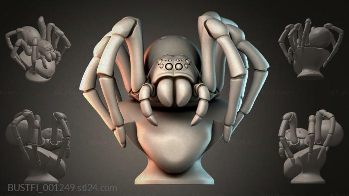Spider Bust 3d STL model