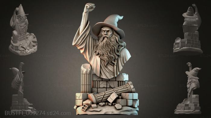 Bust of a Wizard 3d STL model