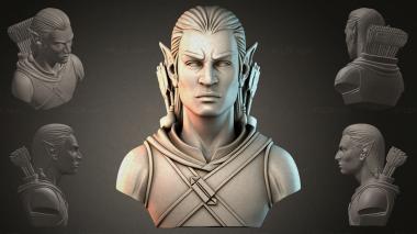 Fantasy busts Bust of an Elf Archer 3d model