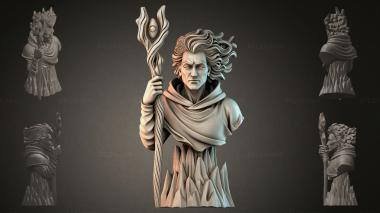 Fantasy busts Bust of a Mythical Mage 3d model
