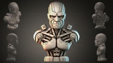 Fantasy busts Cyborg Bust 3d model