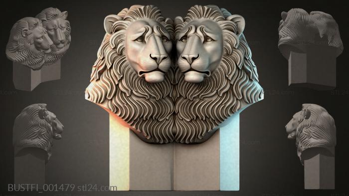 BUSTFI_001479