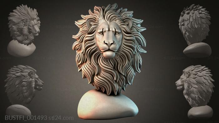 BUSTFI_001493