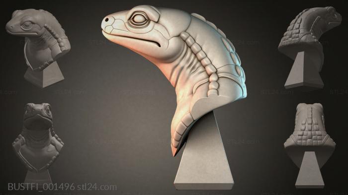 BUSTFI_001496