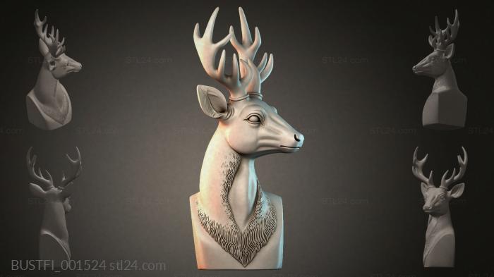 BUSTFI_001524 3d STL model
