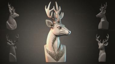 Fantasy busts Deer bust 3d model