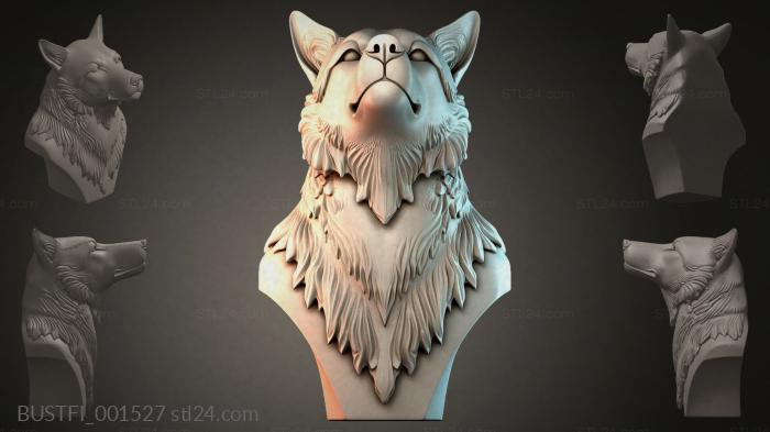 BUSTFI_001527 3d STL model