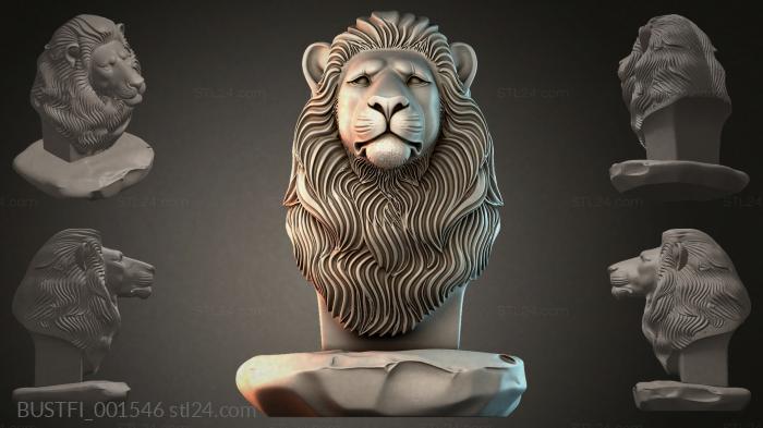 BUSTFI_001546 3d STL model