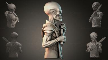 Fantasy busts Bust of an Alien with a Sword 3d model