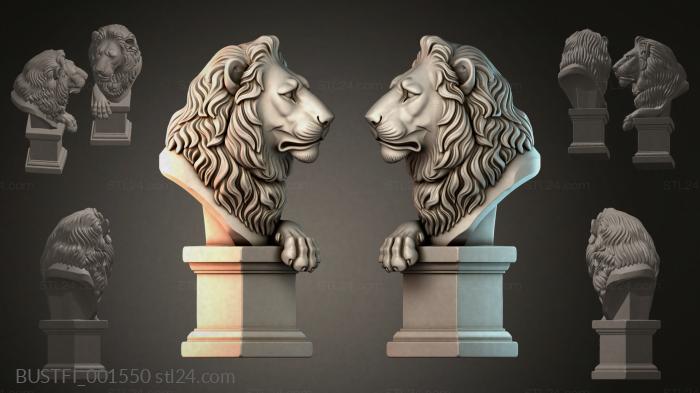 BUSTFI_001550 3d STL model