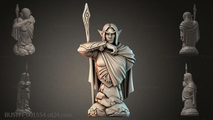 BUSTFI_001554 3d STL model