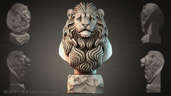 BUSTFI_001556 3d STL model