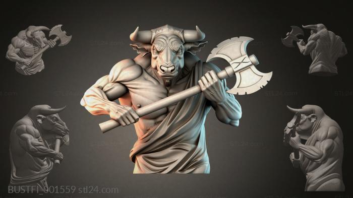 BUSTFI_001559 3d STL model