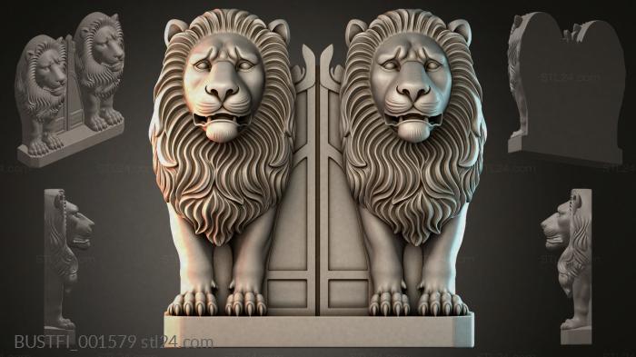 BUSTFI_001579 3d STL model