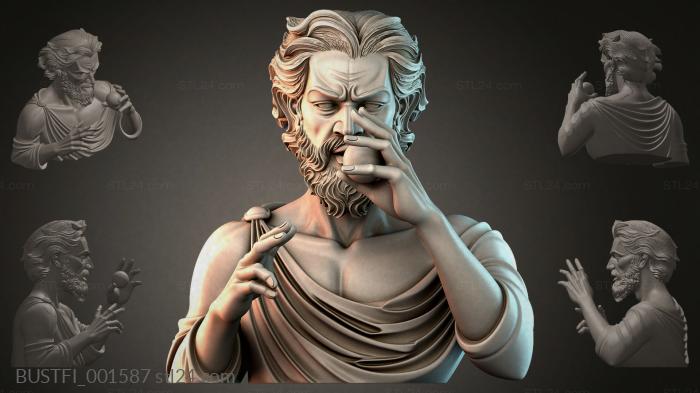 BUSTFI_001587 3d STL model