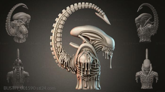BUSTFI_001590 3d STL model