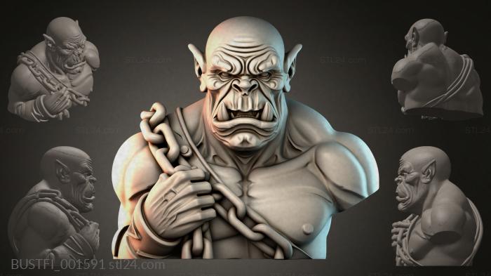 BUSTFI_001591 3d STL model