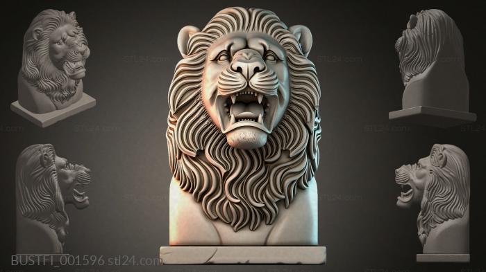 BUSTFI_001596 3d STL model