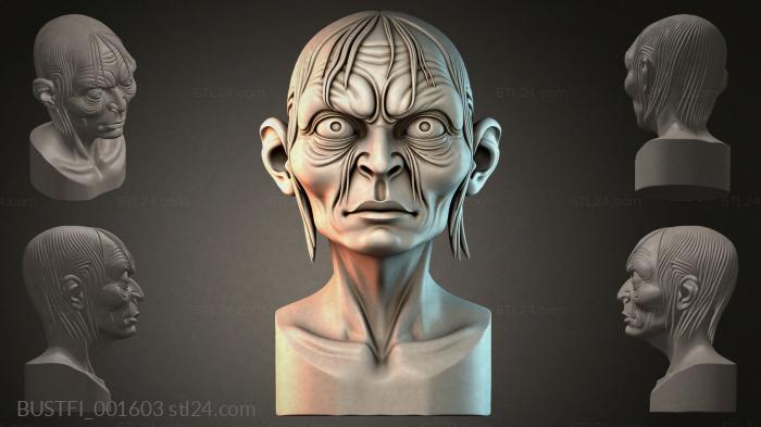 BUSTFI_001603 3d STL model