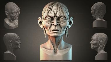 Fantasy busts Bust of Gollum 3d model