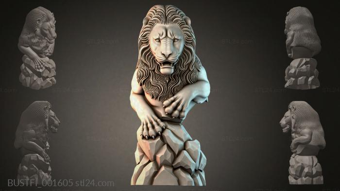 BUSTFI_001605 3d STL model