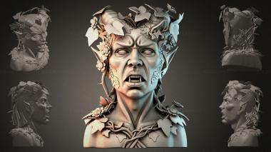 Fantasy busts Bust of a Forest Elf 3d model