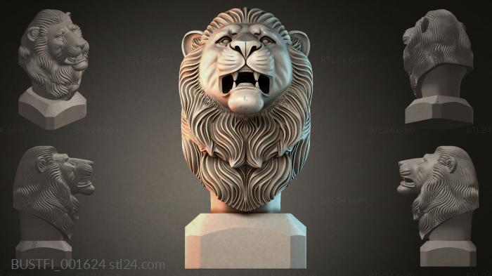 BUSTFI_001624
