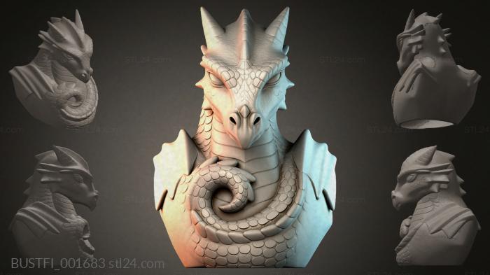 BUSTFI_001683