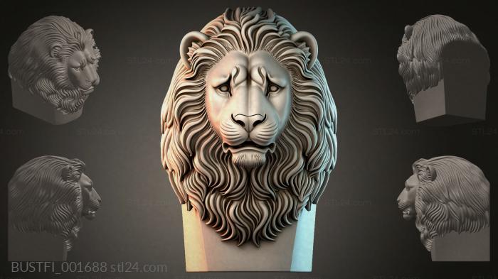 BUSTFI_001688
