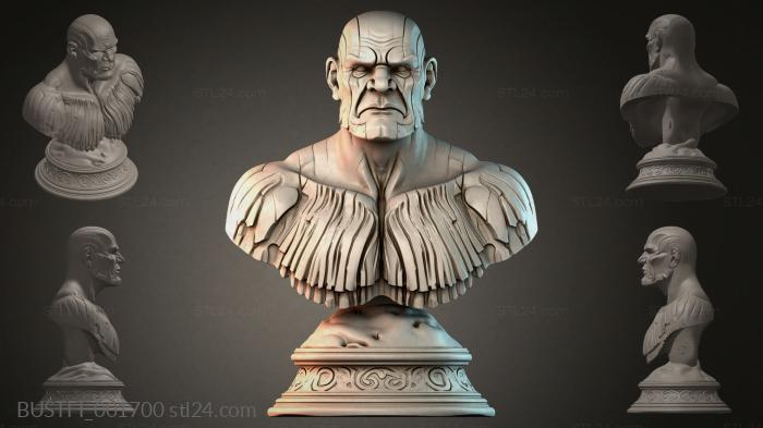 BUSTFI_001700 3d STL model