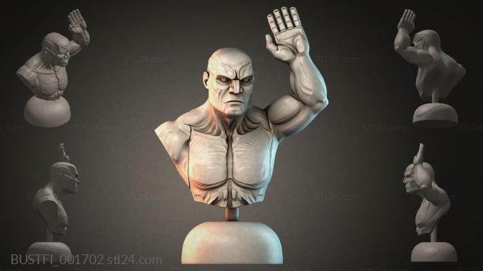BUSTFI_001702 3d STL model