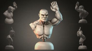 Fantasy busts BUSTFI_001702 3d model
