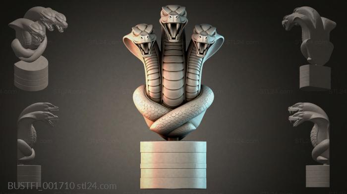 BUSTFI_001710 3d STL model