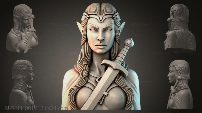 BUSTFI_001713 3d STL model