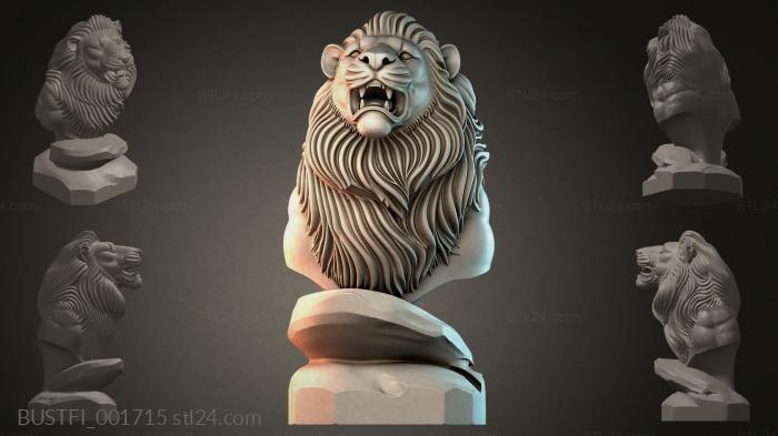 BUSTFI_001715 3d STL model