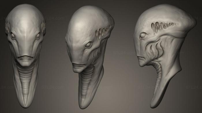 Busts of heroes and monsters (Creature Head long head, BUSTH_0071) 3D models for cnc