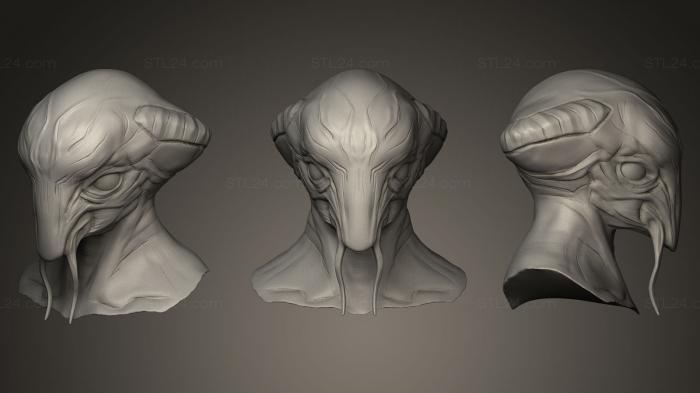 Busts of heroes and monsters (Creature Head Sculpt 12, BUSTH_0346) 3D models for cnc