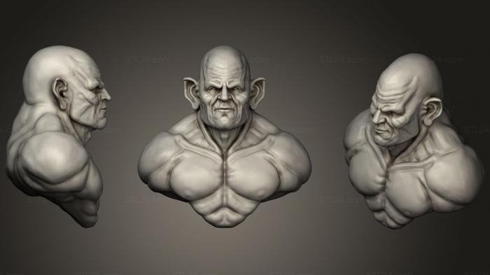 Busts of heroes and monsters (Masculine elf character Free, BUSTH_0713) 3D models for cnc