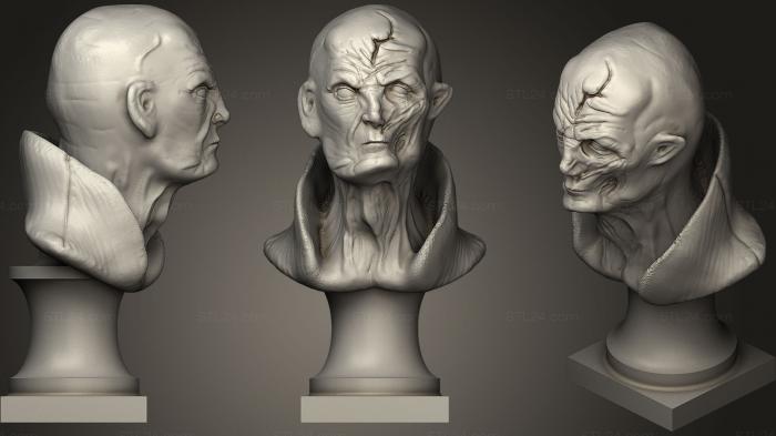 Busts of heroes and monsters (Supreme Leader Snoke, BUSTH_0798) 3D models for cnc
