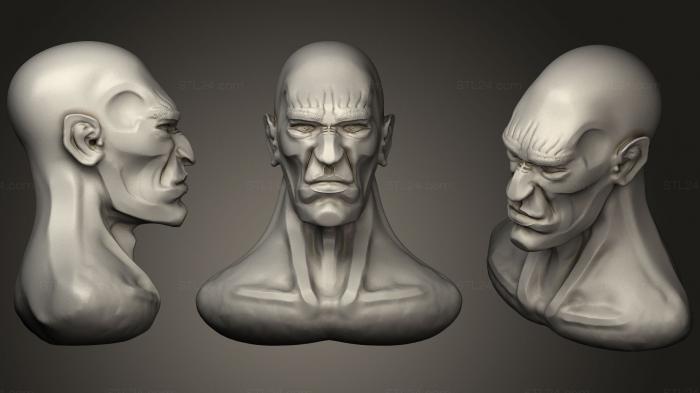 Busts of heroes and monsters (Male Head cartoon style, BUSTH_0906) 3D models for cnc