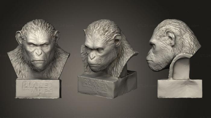 Caesar Bust Planet Of The Apes