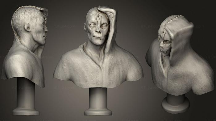 Бюсты монстры и герои (Бюст Дарта Нигилуса 2, BUSTH_1128) 3D модель для ЧПУ станка